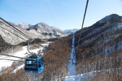 雪遊びの新提案！苗場スキー場の「コト消費」体験で冬を満喫