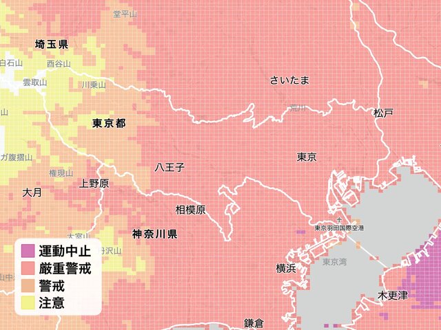 図1：1kmメッシュで情報取得が可能。画面は東京都周辺...