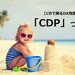 CDP（カスタマー・データ・プラットフォーム） - DXマガジン